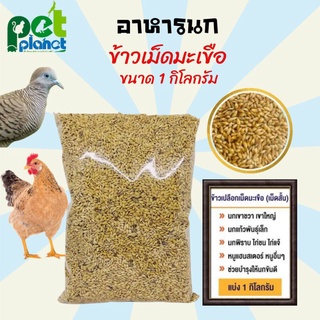 [1Kg.] อาหารนก ข้าวเม็ดมะเขือ ข้าวเปลือก อาหารไก่ อาหารหนูแฮมเตอร์ อาหารนกเขา อาหารนกพิราบ ข้าวเปลือกไก่ เม็ดสั้น