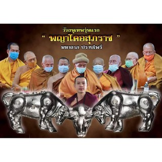 วัวธนูเทพรุ่นแรก พญาโคอสุภราช มหาลาภปราบไพรี