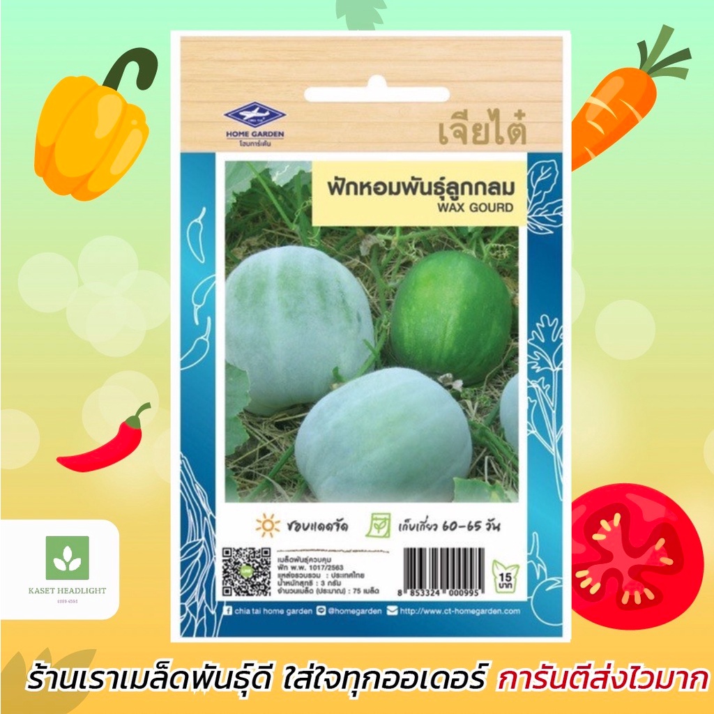 SL ฟักหอม บิ๊กบูม ฟักกลม เมล็ดคัดพิเศษ เมล็ดพันธุ์ฟัก เมล็ดฟักหอมลูกกลม