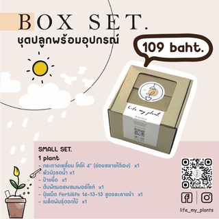 ชุดปลูกดอกไม้ boxset ชุดพร้อมปลูก ชุดของขวัญ gift box