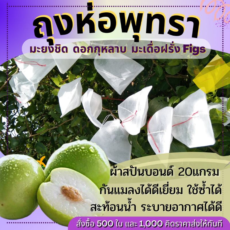 **ลดพิเศษ!! ชุด 20ใบ ถุงห่อพุทรา ถุงห่อผลไม้ กันเเมลง ขนาด12x13 ซม.