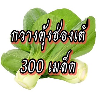 เมล็ดผักกวางตุ้งฮ่องเต้ เมล็ดผักสวนครัว เมล็ดผัก5บาท