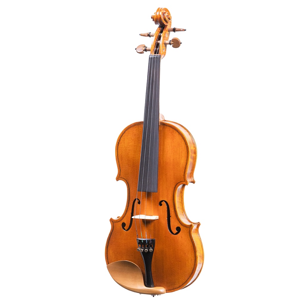 ไวโอลิน Paganini Lorenzo Violin รุ่น M300 จัดส่งฟรี