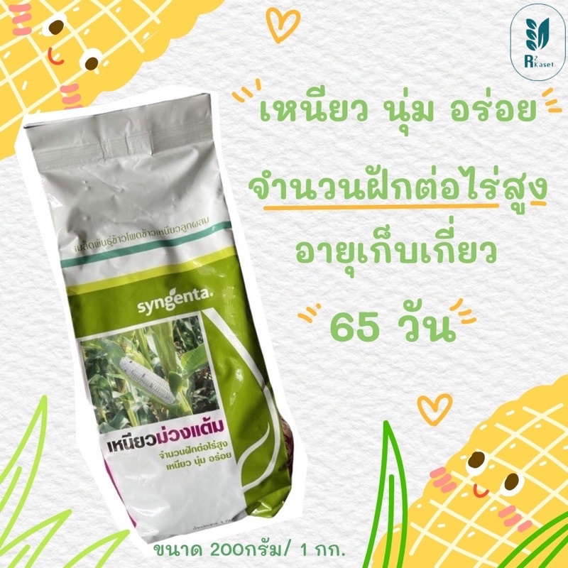 เมล็ดพันธุ์ข้าวโพดเหนียว ม่วงแต้ม syngenta 1กก./200กรัม