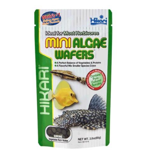 Hikari Algae Wafers Mini 22g