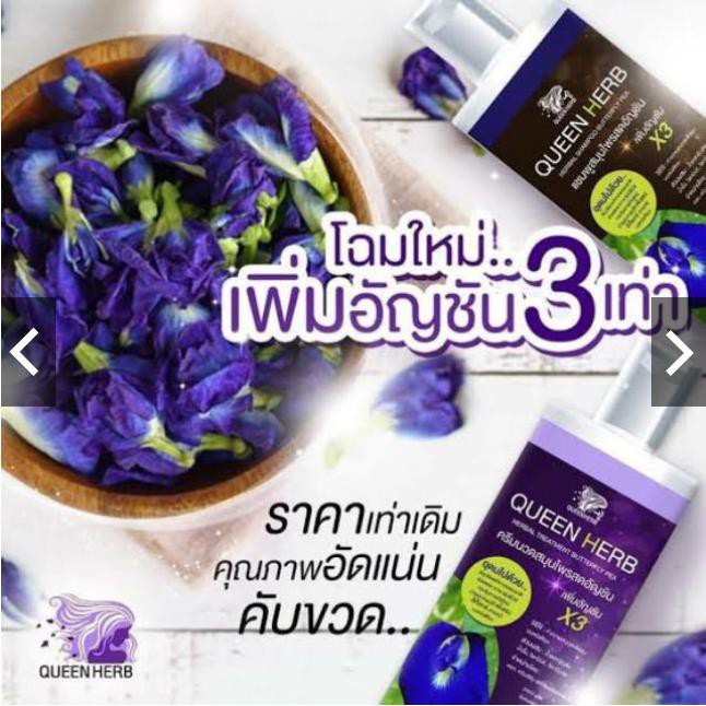 Queen Herb ควีน เฮิร์บ ชุดแชมพูสมุนไพร แชมพูอัญชัน & ทรีทเมนท์อัญชัน สูตรเพิ่มอัญชัน x3