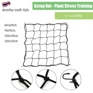 ตาข่ายปลูกต้นไม้ Scrog Net - Plant Stress Training - LST