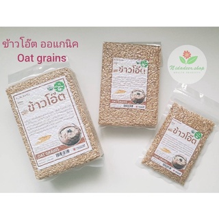 ข้าวโอ๊ต ออแกนิค 100%  OAT GRAINS  Organic 100%