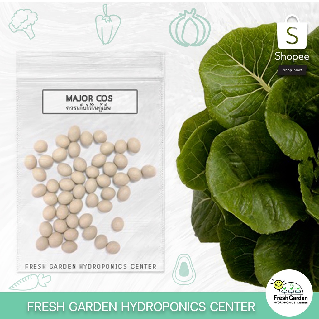 เมล็ด Cos Major ( พันธุ์ Tiberius Rz ) แบบเคลือบ 50 เมล็ด