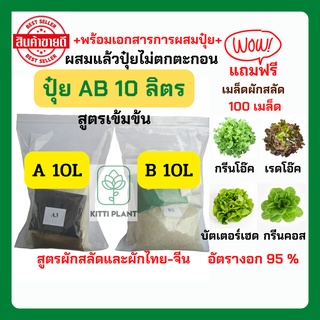 ปุ๋ยAB 10 ลิตร แถมฟรีเมล็ดผักสลัด 100 เมล็ด ปุ๋ยไฮโดรโปรนิกส์#ปุ๋ยปลูกผักสลัด#ปุ๋ยABแห้ง#ราคาสุดคุ้ม