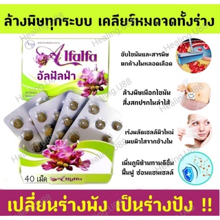 🎖️แท้💯% ขายดี👍รีวิวเพียบ‼️อัลฟัลฟ่า Alfalfa🆕EXP:2026💣ล้างพิษ​ Detox ผิวใส สิว ล้างลำไส้ ดีท็อกซ์​ กรดไหลย้อน อัลฟาฟ่า..