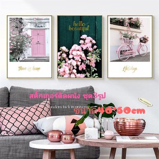 🌈STG🌈 รูปภาพ(3รูป) 40*60cm.รูปติดผนัง วอลเปเปอร์ติดผนัง ภาพติดผนัง ภาพแคนวาสมีกาวในตัว สติ๊กเกอร์ติดผนัง