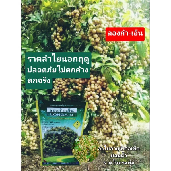 สารราดลำไย ลองก้า-เอ็น ใช้ได้ทั้งทางดินและทางใบลองก้า-เอ็นสารราดลำใยนอกฤดู บรรจุถุงละ1กิโล