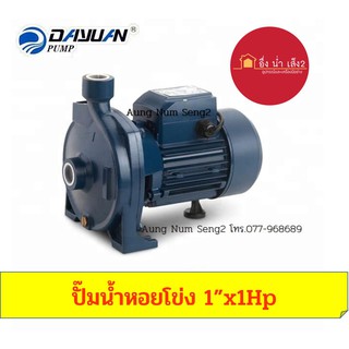 Dayuan Pump Dcm-130 ปั๊มน้ำหอยโข่ง 1"x0.5HP (ขดลวดทองแดงแท้)