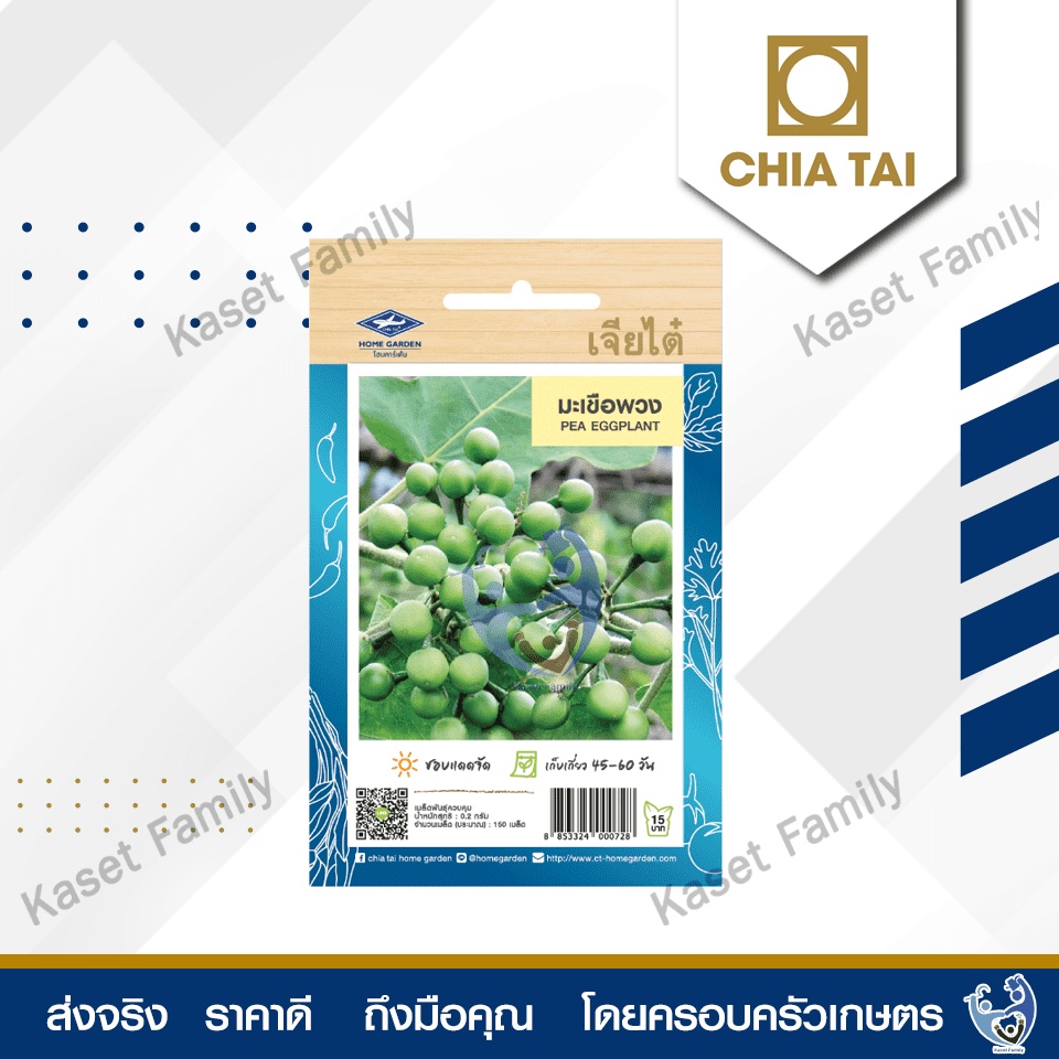ผักซอง มะเขือพวง 150 เมล็ด เมล็ดมะเขือพวง ตราเจียไต๋