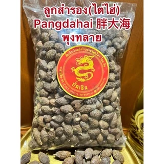 ลูกสำรอง (ไต่ไฮ่) Pangdahai 胖大海 พุงทลาย