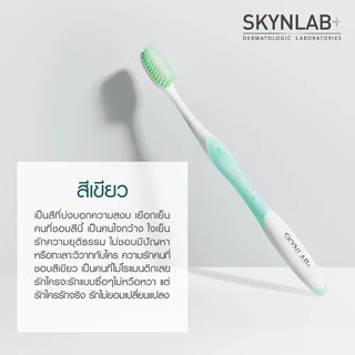 แปรงสีฟัน สกินแล็บ ขนแปรงนุ่ม ครบทุกแบบ SKYNLAB+ Slim Soft Toothbrush