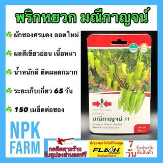 ผักซองศรแดง พริกหยวก มณีกาญจน์ จำนวน 150 เมล็ด ศรแดง เมล็ดพันธุ์ ลอตใหม่ งอกดี ผลสีเขียวอ่อน ติดผลดก ผลผลิตสูง