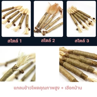✅ พร้อมส่ง ✅ ไม้แมวเมา ไม้ขัดฟันแมว ฟันกรามแมว ของเล่นแมว เหมาะสำหรับแทะกัญชาแมว ลดคราบหินปูน