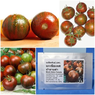 เมล็ดพันธุ์ มะเขือเทศ ม้าลายดำ (Black Zebra Tomato Seed) บรรจุ 20 เมล็ด คุณภาพดี ราคาถูก ของแท้ 100%