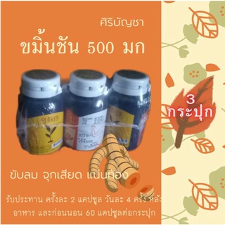 ขมิ้นชัน 500 มก.60 แคปซูล จำนวน 3 กระปุก