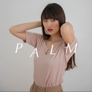 เสื้อ รุ่น Palm Tee (All Colour) - Mist of rain