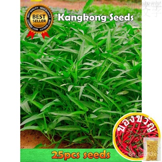 VALUE PACK! Upland/Lowland Kangkong Seeds (1pack) - 25pcs seeds苹果/种子/手链/裙子/芹菜/向日葵/木瓜/通心菜/男装/帽子/ EOWC