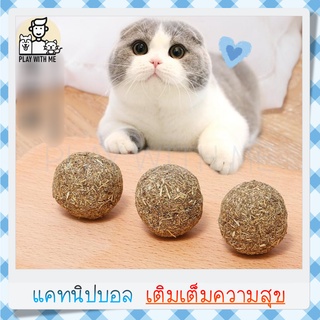 ✅พร้อมส่ง✅ แคทนิปบอล กัญชาแมว catnip ball แมวฟิน บอลแมว สมุนไพรแมว หญ้าแมว