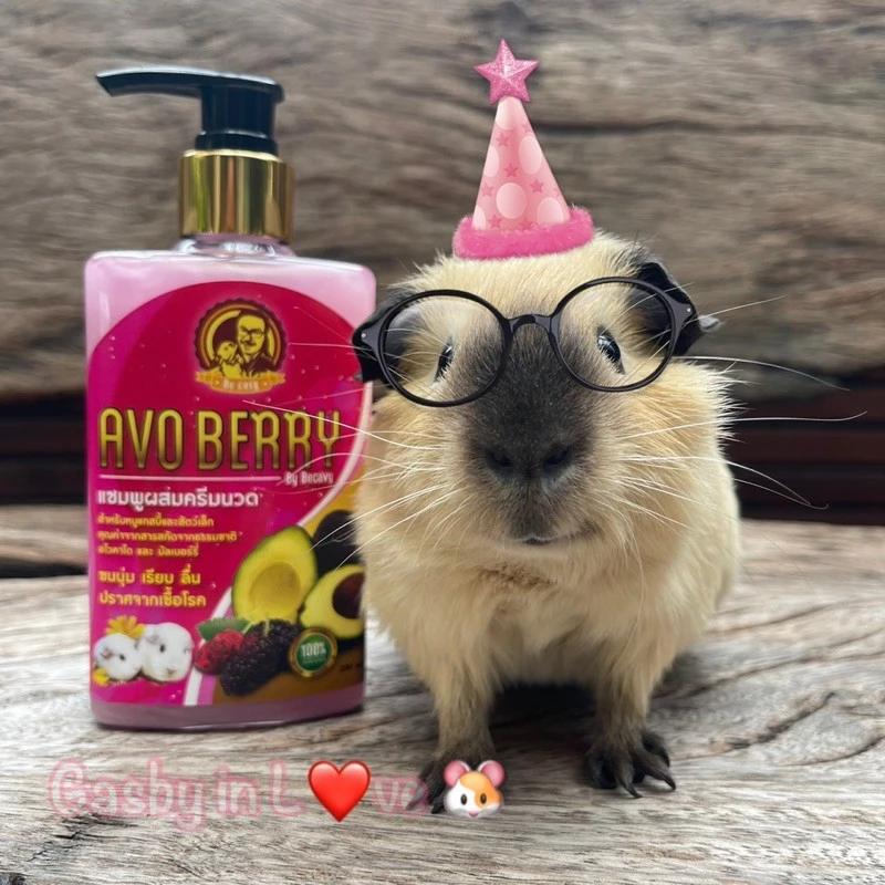 AVO BERRY (อโวเบอรี่) 🥑🥥🫐🍃🐹 แชมพูผสมครีมนวด สำหรับสัตว์เลี้ยงขนาดเล็ก หนูแกสบี้ กระต่าย