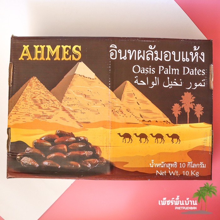 อินทผาลัมแห้ง ไร้ก้าน ตรา AHMES ยกลัง 10 กก