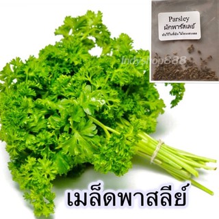 เมล็ดพันธุ์ ผักพาสลีย์  ผักสวนครัว Parsley 100-150 เมล็ด [10 แถม 1 คละได้]