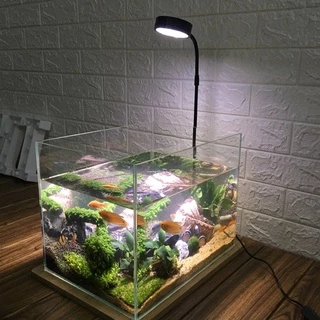 เต็มสเปกตรัม LED Light 10W USB ขับเคลื่อน เหมาะกับถังพิพิธภัณฑ์สัตว์น้ํา, ถังปลา Betta, พืชกระถาง, ภูมิทัศน์ขนาดเล็ก