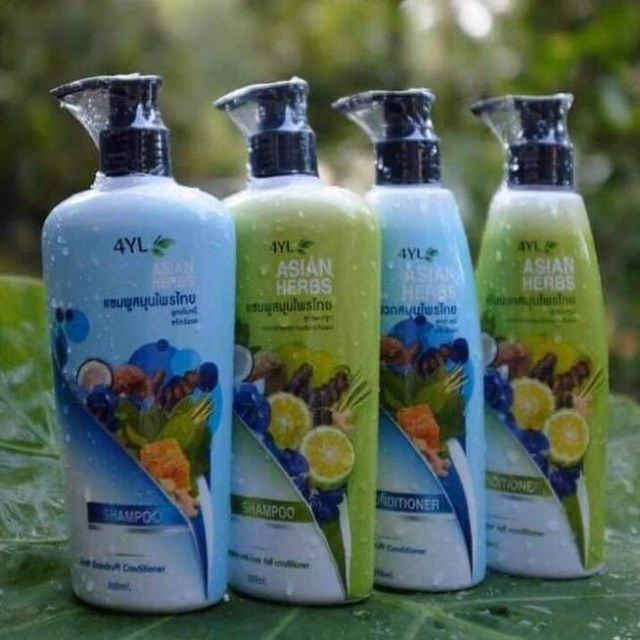 แชมพูสมุนไพร&ครีมนวด 4YL ..🍀🌿🍁