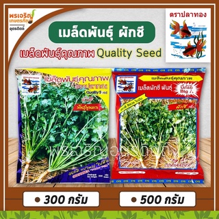 เมล็ดพันธุ์ผักชี ผักชีพูนผล ผักชีบิ๊กเอ ผักชีสามเอ (Quality Seed) เมล็ดผักชีถุงใหญ่ เมล็ดผักชีปลาวาฬ เมล็ดผักชีปลาทอง