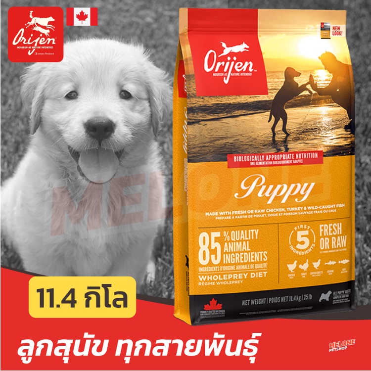 [EXP 2026] Orijen Puppy อาหารลูกสุนัข โอริเจน ปัปปี้ ลูกสุนัข บำรุงขน โฮลิสติก เกรนฟรี ขนาด 11.4 กิโล