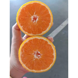 🚚 ส่งเร็ว!! ส้ม ส้มนาเวล ผลไม้นำเข้า (3GK/35#,40#) ~ราคาพิเศษ~，#Orange ผลไม้สดใหม่