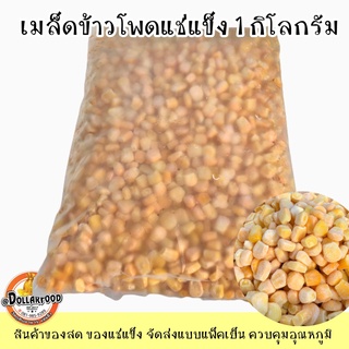 เมล็ดข้าวโพดหวานแช่แข็ง Frozen Sweet Corn 1 กิโลกรัม สำหรับทำขนม อาหาร คอร์นชีส ข้าวโพดอบชีส ทูน่าคอนสลัด