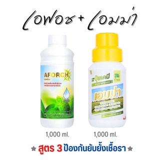 สารจับใบ เอฟอช (1 L)+ ปุ๋ยน้ำเอมม่า (1 L)สูตรซึมเร็ว ป้องกันยั้บยั้งเชื้อรา รากเน่า โคกเน่า ใบไหม้ ใบจุด ใบติด ราน้ำค้า