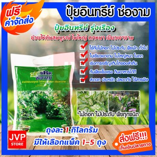 **ส่งฟรี**ปุ๋ยสูตรเร่งใบ-ดก-เขียวเงางาม ขนาด 1 กิโลกรัม มีให้เลือกแพ็ค 1-10 ถุง (Fertilizer)ช่องาม ปุ๋ยอินทรีย์ ปุ๋ย