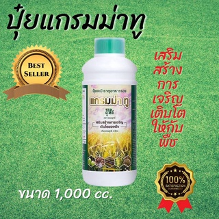 แกรมม่าทู 1 ลิตร (1ขวด) ปุ๋ยน้ำ สูตรเร่งการเจริญเติบโต  เป็นกรดอะมิโนปุ๋ยเคมี ธาตุอาหารรอง