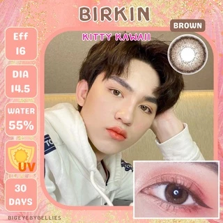 🔥 คอนแทคเลนส์ ✨ขนาดกลาง ✨Brown / Gray✨ Birkin ✨kittykawaii
