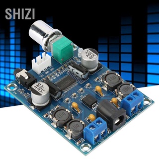 Shizi Dc 12-28V 3A/45W 2 Channel แผ่นบอร์ดโมดูลขยายเสียง 30TSP แบบ Dual พาวเวอร์แอมป์