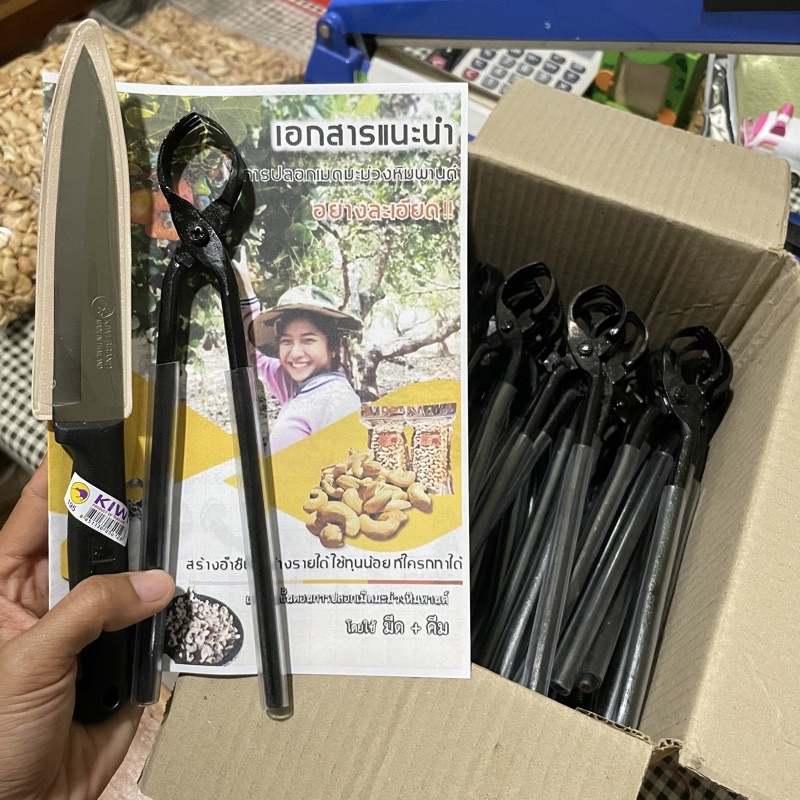 อุปกรณ์ปอกมะม่วงหิมพานต์ 1ชุด มีมีด+คีม