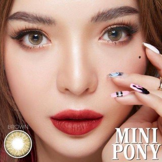 💜mini Pony Brown (1)(2) มินิ สีน้ำตาล สายฝอ น้ำตาล ลายขายดี Dream Color1 ค่าสายตา สายตาสั้น แฟชั่น สายตา Contact Lens