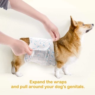 โอบิ ผ้าอ้อมสุนัข เพศผู้ Dono Male wrap
