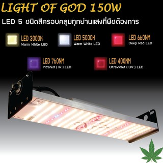 โคมไฟปลูกต้นไม้ 150W LIGHT OF GOD เสริมด้วย LED IR และ UV สำหรับพืชสมุนไพร กัญชง และ กัญชา พืชที่ต้องการแสงมาก