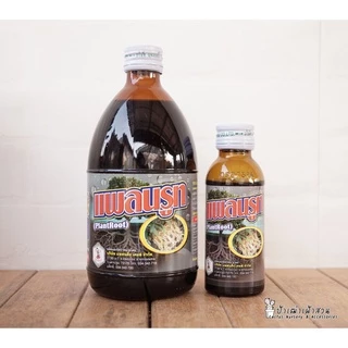 แพลนรูท(Plant root)ยาเร่งรากยอดนิยมสำหรับ Cactus ไม้สวน ไม้ดอกไม้ประดับ