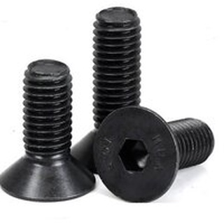 * พร้อมส่ง * สกรูหัวเทเปอร์สีดำ Screw Flat M6 / ชิ้น