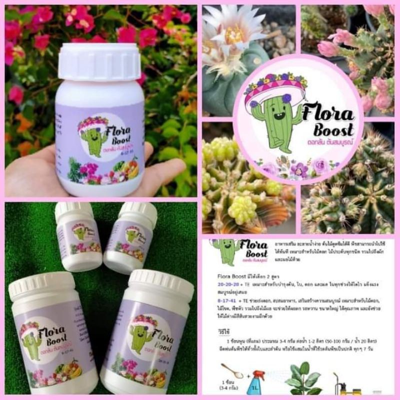 Flora Boost ปุ๋ยแคคตัส และพืชทุกชนิด