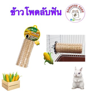 🌽ข้าวโพดลับฟัน🌽 เหมาะสำหรับสัตว์เลี้ยงฟันแทะ